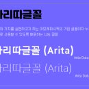 아리따 티스토리