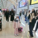 약수공원(독도박물관) | 끝! 그대로 따라가세요!( Feat. 헬로키티아일랜드, 신화테마파크, 아쿠아플라넷, 교육박물관, 독도체험관)