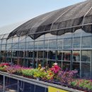 다육꽃세상 이미지