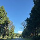 캔버스(CANVAS) | 제주도 글램핑 “스타빌” Canvas 캔버스 후기(바베큐, 액티비티, 수영장)