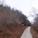 자양면-도일리-15