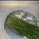 31140-7-49-15 | 뿐이 토핑 이유식 | 후기 이유식 2단계 49-51일차 | 부추 | D+318