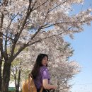 범어사 소문난 떡볶이김밥 이미지