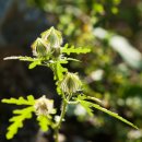 원동재로 이미지