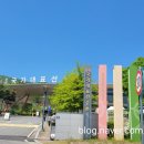 대한체육회 진천선수촌 | 진천가볼만한곳 국가대표선수촌 어린이날축제 초4초6이랑 다녀왔습니다