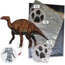 상족암 고성 공룡화석누리길 인생 사진 명소 상족암 해식동굴 230422 이미지