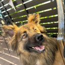 준독라운지 이미지