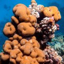 바다약국 이미지