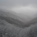 노고단-10 이미지