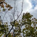 화양빌리지펜션2 이미지