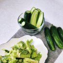 농부의꿈 | 양주농부이범석 농부의꿈 미니오이 백오이 오이요리