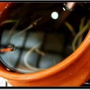 대가볼태기 이미지