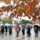 대추나무골마을 이미지