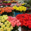 삼성현로15길 이미지