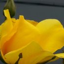 오며가며 이미지