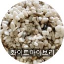 (주)에스디엔 네이버블로그