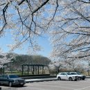 동물원 가는 길 이미지