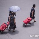 손수레