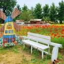 청보리목장 이미지