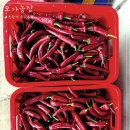 순한농장 이미지