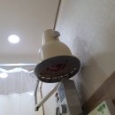 관절 근육 강화 운동 | 무릎관절운동 전후 영양제