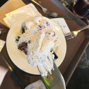 돌산가든 | [여수] 식물원 컨셉의 돌산 대형 브런치카페 '암파스타레 프롬나드' (내돈내산/주차장/반려동물 동반...