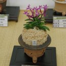 부천시청 이미지