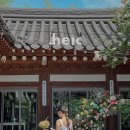 [결혼 준비] 색감 이쁜 아이폰스냅 헤이크 heic 추천 / 계약후기