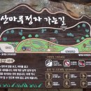 2017년10월8일82차정기산행 포항 호미반도 해안둘레길 이미지