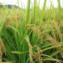 동호부동산공인중개사사무소 이미지