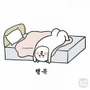 진진가연