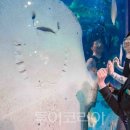 북부일산자동차서비스 이미지