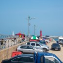 장고항바다 좌대낚시터 이미지