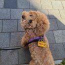 제이의집 이미지