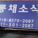 와룡채소 네이버블로그