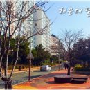 세정펜트하우스(달맞이 펜트하우스(1)) 이미지