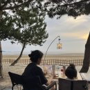 D.C식자재마트(김천점) | 태안 달산포 진주 캠핑장 후기 | 반려견 동반 가능, 갯벌 조개 체험