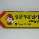 영웅이네 딸기농장 이미지