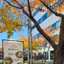 태조감자국 | 서울감자탕맛집 성신여대 감자탕맛집 태조감자국 내돈내산 후기