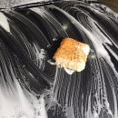 세차의정석 이미지