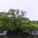 왕버들공원화장실 이미지