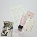 빛모이 | 모이로 화잘먹 아침 전용 저자극 젤 클렌저, 아침 세안 루틴 바꾼 후기