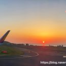 아라팰리스호텔 이미지