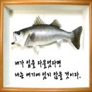 대성약국 이미지