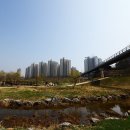 전주이씨 상원군 이세령가문 충신열녀정려편액 이미지