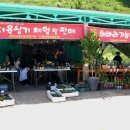 해바라기-청춘(1) 티스토리