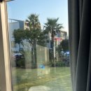 보미민박