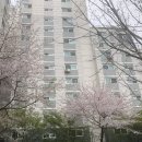 정릉41 이미지