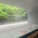 해변노래연습장 | [창원살기 1일차] 체크인 후 진해루 + 속천항 코스