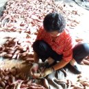 들샘농장 이미지